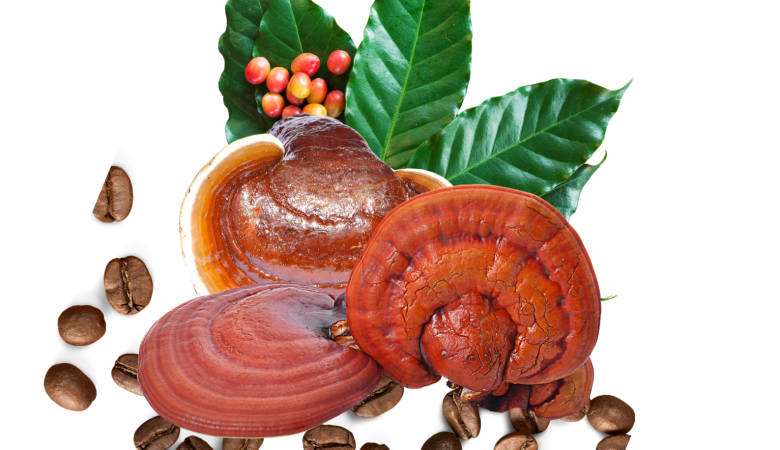 The Link Between Oral Health and Systemic Diseases