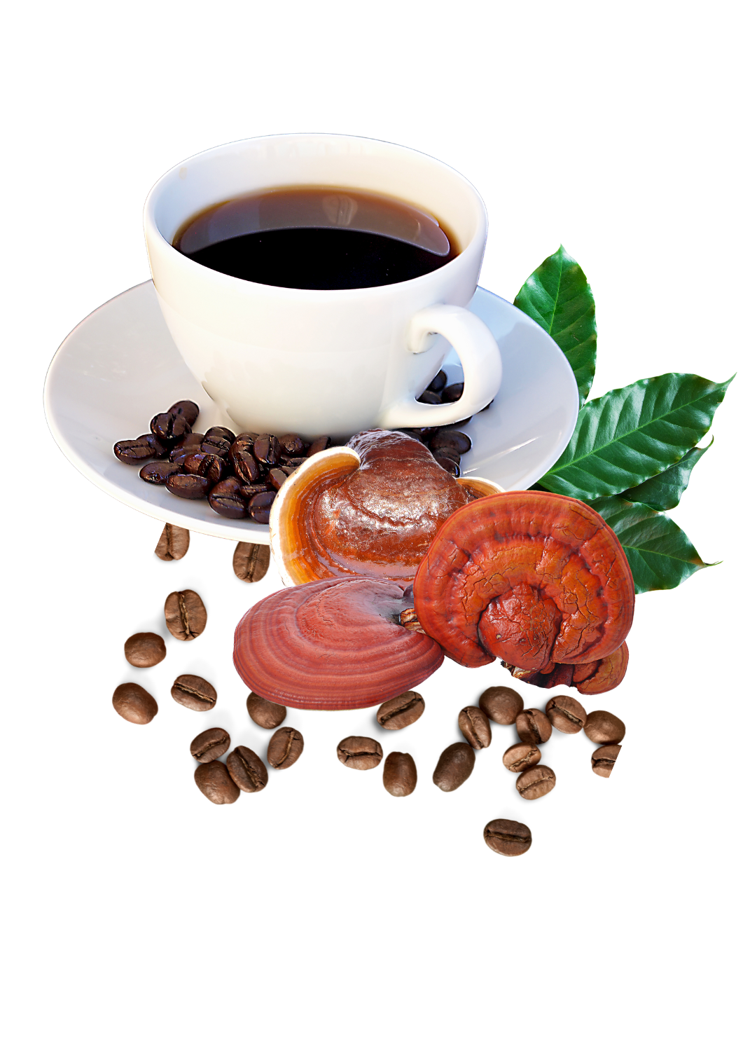 The Role of Psychotherapy in Mental Health Treatment